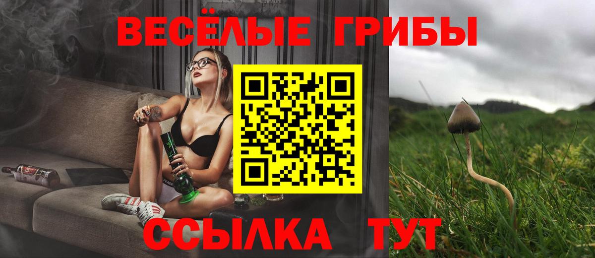 Златоуст  Галлюциногенные грибы мицелий  Вход с VPN  цена   Галлюциногенные грибы Psilocybe 
